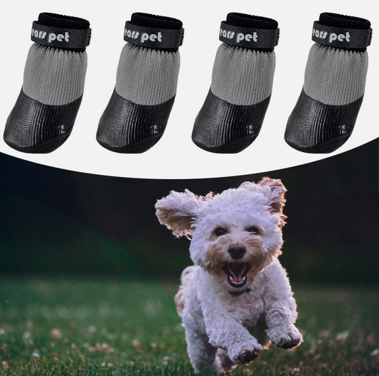 Su Geçirmez Köpek Ayakkabıları🐾