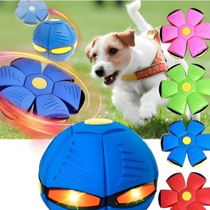 Köpek Disk Topu